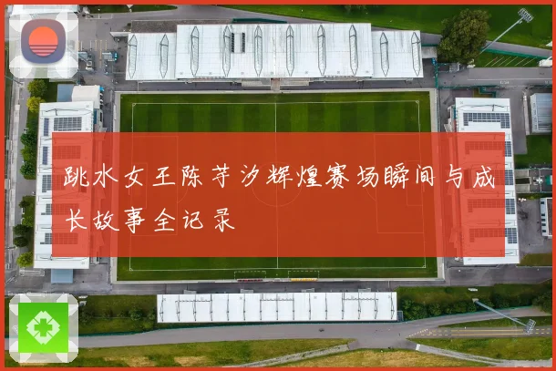 跳水女王陈芋汐辉煌赛场瞬间与成长故事全记录